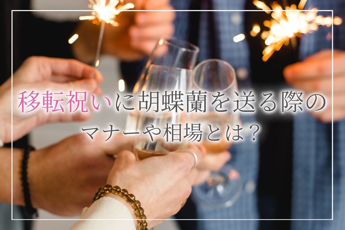 【移転祝いの胡蝶蘭】送る際のマナーや相場とは？胡蝶蘭の本数や色なども移転祝いにふさわしいものを選ぼう！